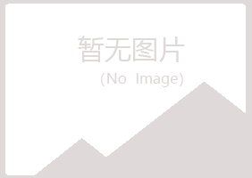 鲁山县问雁水泥有限公司